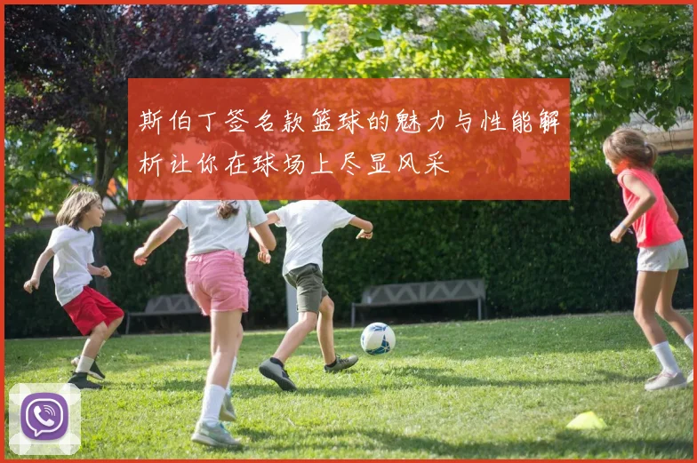 斯伯丁签名款篮球的魅力与性能解析让你在球场上尽显风采