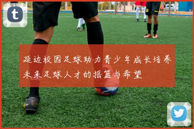 延边校园足球助力青少年成长培养未来足球人才的摇篮与希望