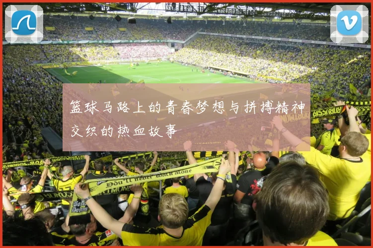 篮球马路上的青春梦想与拼搏精神交织的热血故事