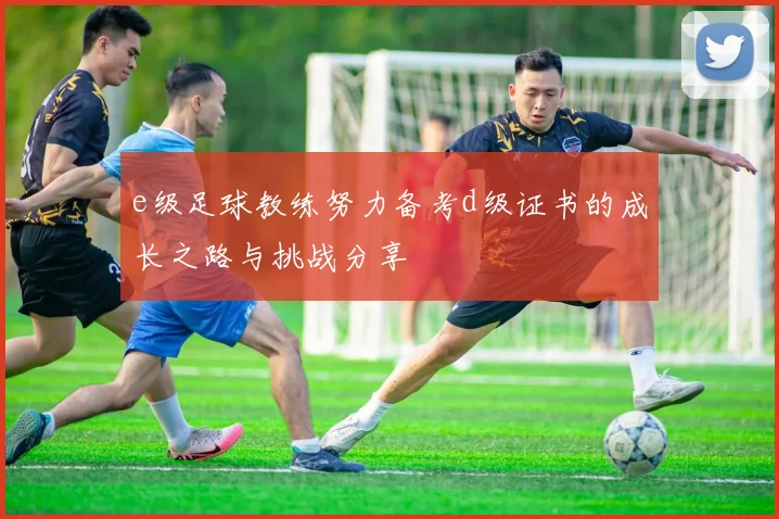 e级足球教练努力备考d级证书的成长之路与挑战分享