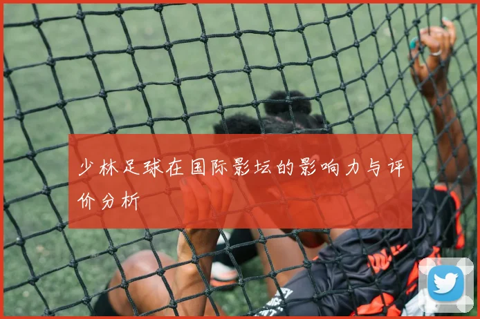 少林足球在国际影坛的影响力与评价分析