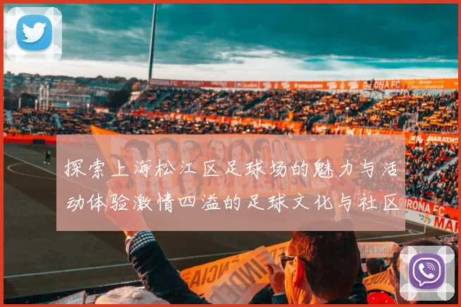 探索上海松江区足球场的魅力与活动体验激情四溢的足球文化与社区生活