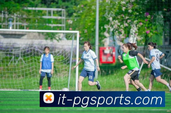 PG模拟器发展历程